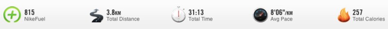 My run stats including Nike+ My run stats including Nike+