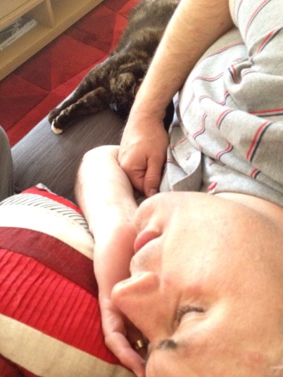 A relaxing afternoon on the sofa