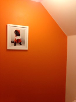 "Fudge" hanging on the new orange wall