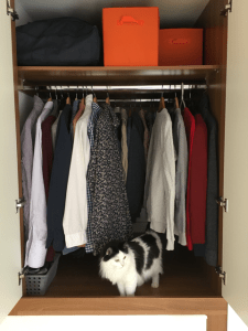 Tilly has fully inspected the new arrangement