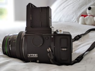 00100lportrait_00100_burst20190822175634145_cover