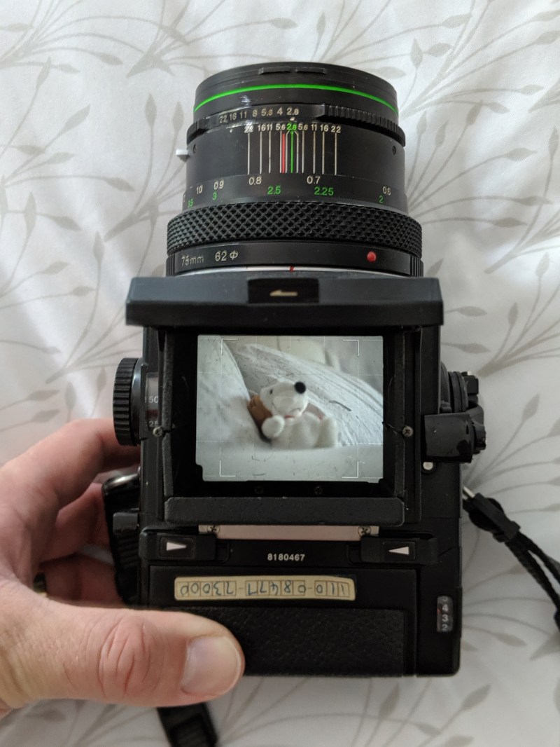 00100lportrait_00100_burst20190822175657576_cover