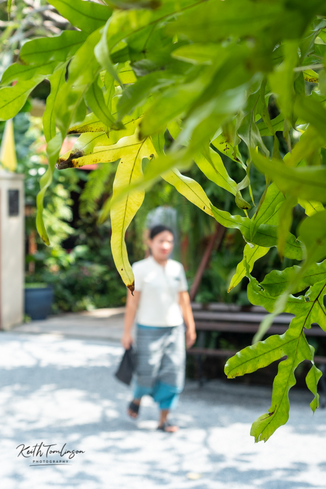 02Kanchanaburi (170)