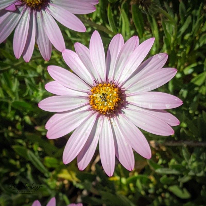 00000PORTRAIT_00000_BURST20200426152939818