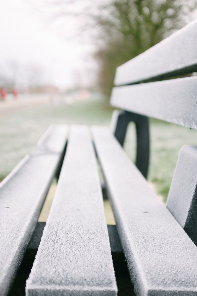 A frosty bench in a park