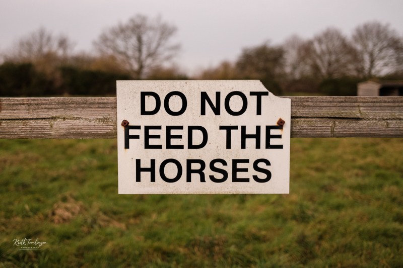A sign on a farm post asking you not to feed the horses