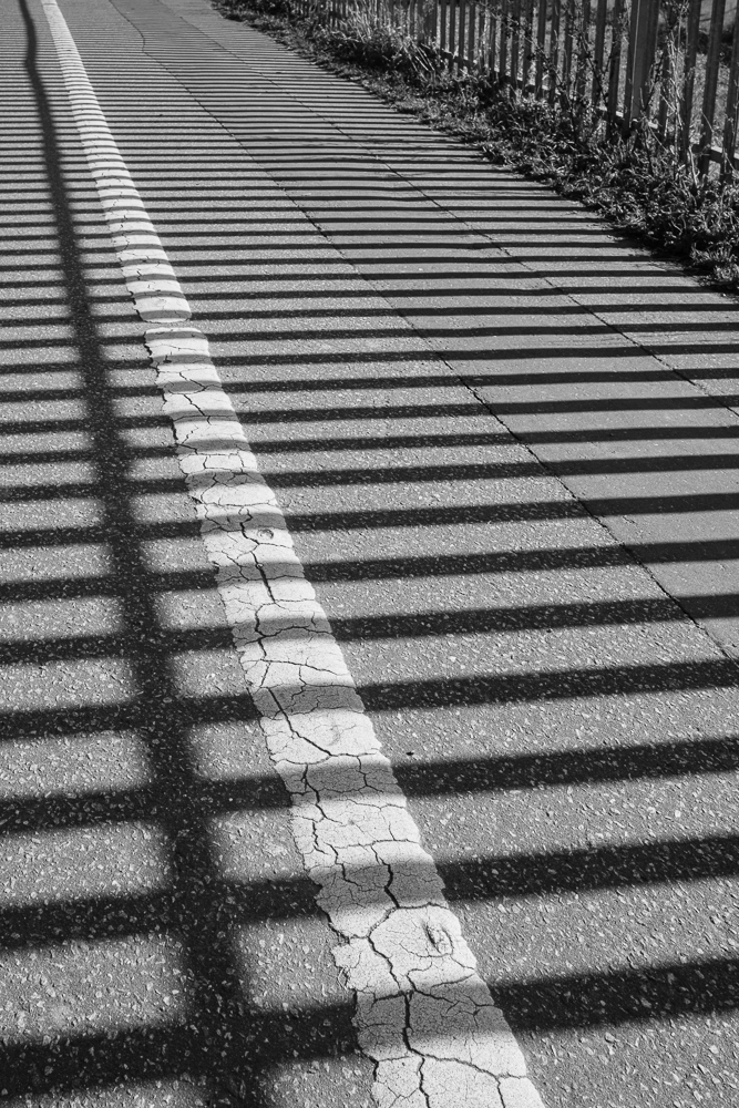 The shadows of the allotment railings paint a pattern on the pathway in the park