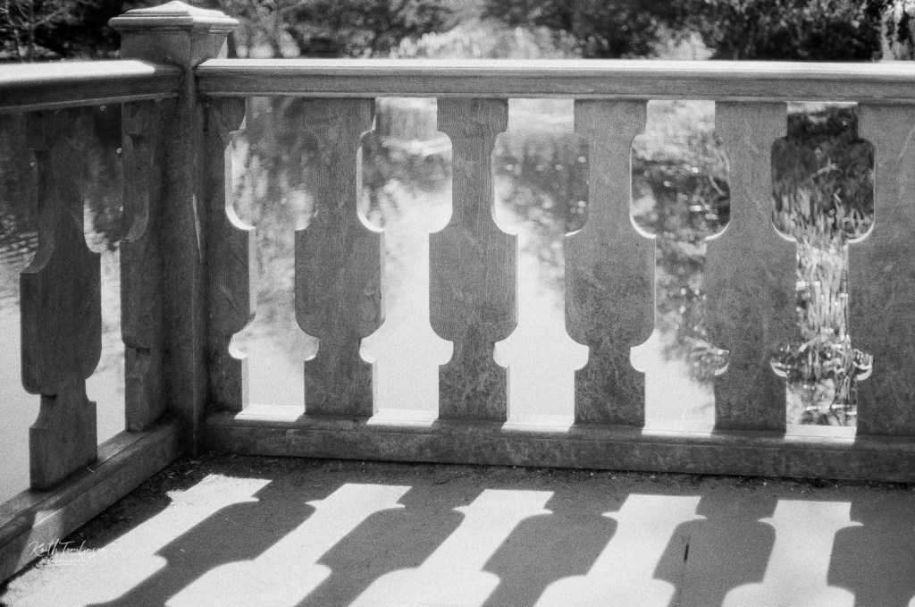 Black and white photo of the balustrade at the boat house on Belton House Lake.  Taken with my Yashica with Street Candy MTN 100 film.
