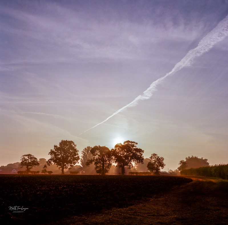 Sun breaks through the top of a row of trees as it rises over fields in England
