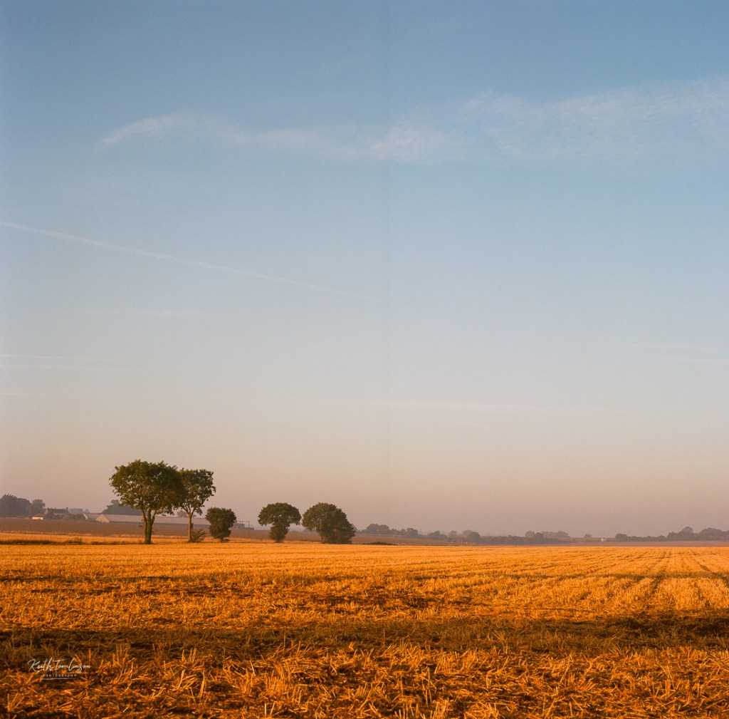 Sun rising over fields of ploughed wheat in Suffolk England with a row of tress on the horizon
