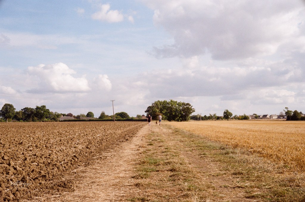 A couple of dog walkers walk along a field into the distance with their dog between them