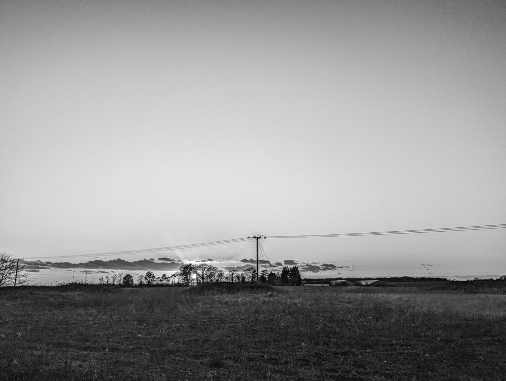 A black and white photo of the sun coming up over a field 