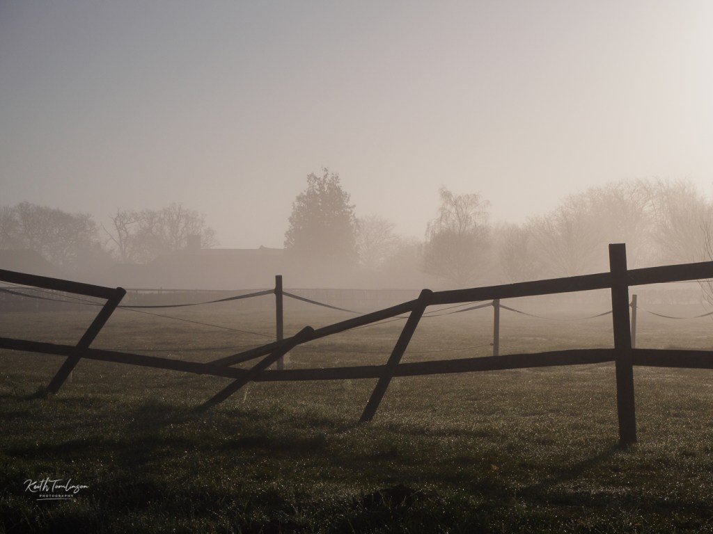 A variety of different fences in the morning mist
