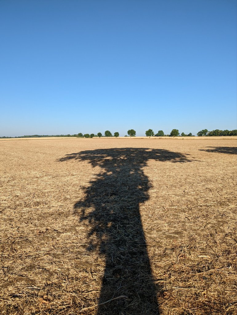 Shadow from a large oak tree cast over an empty field 