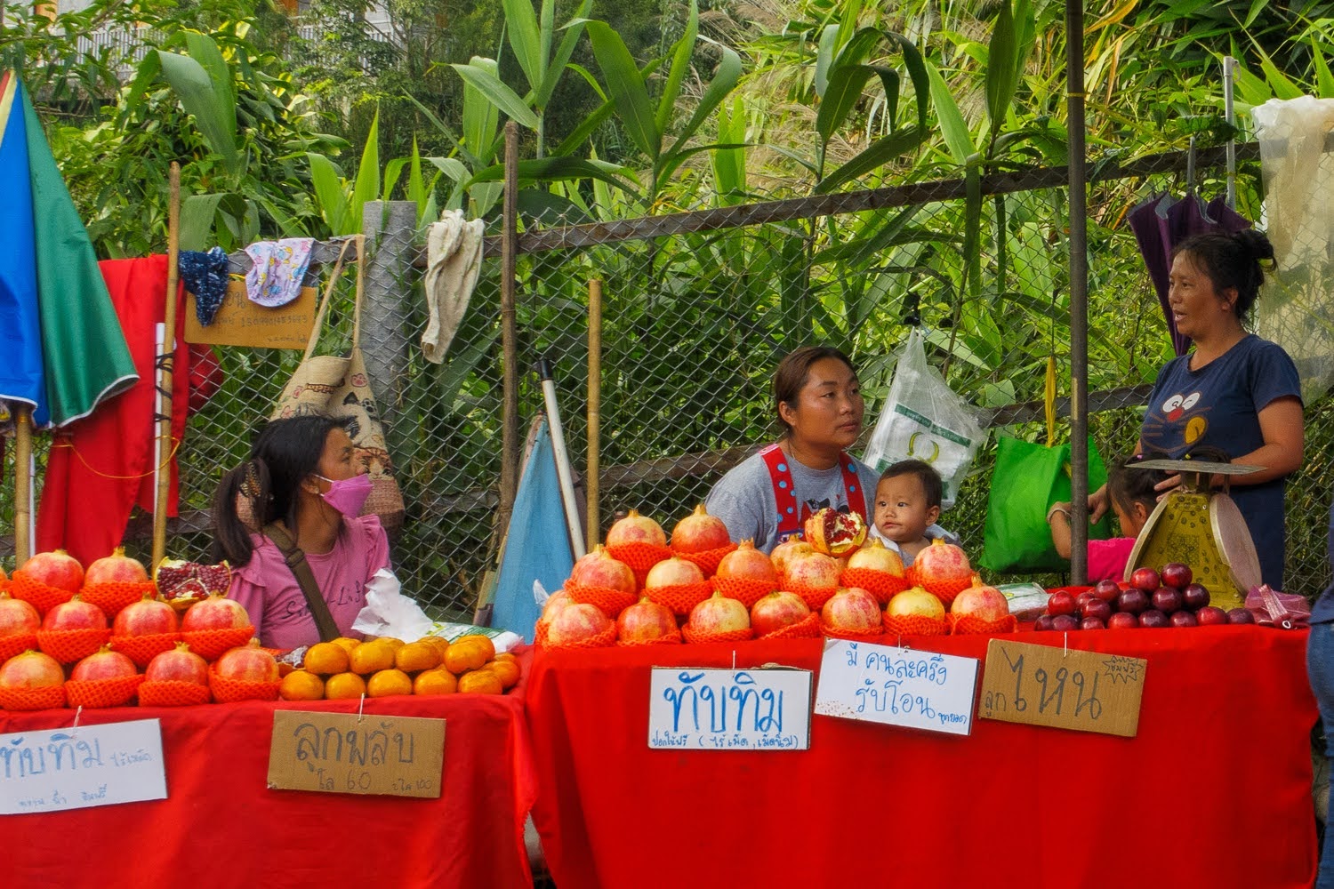 Pomegranate sellers in Mon-Cham