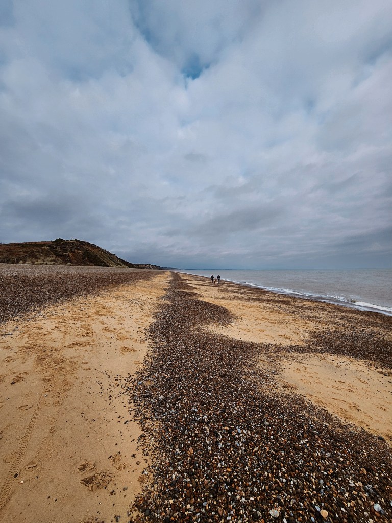 a view of a beach and coast stretching off into the distance