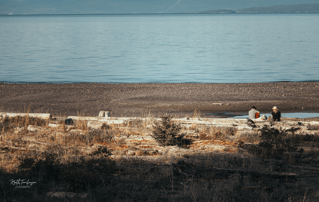 A men serenades his lady on the beach at sunset