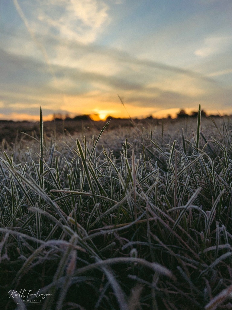 A close up of frosty grass