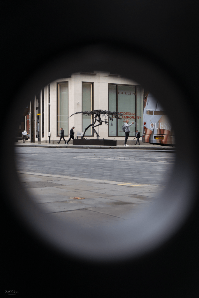 Peeping through a hole across the street, a man stands in front of a dinosaur skeleton