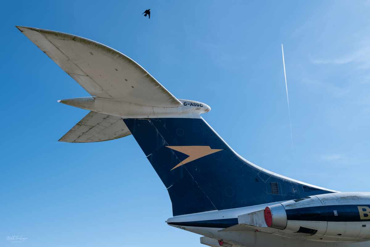 Tail fin of a grounded BEA Hawker Siddeley Trident aircraft at IWM Duxford, with a bird in free flight and a vapour trail crossing the blue sky above