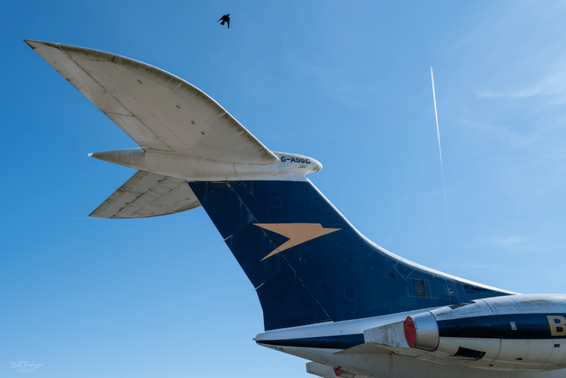 Tail fin of a grounded BEA Hawker Siddeley Trident aircraft at IWM Duxford, with a bird in free flight and a vapour trail crossing the blue sky above